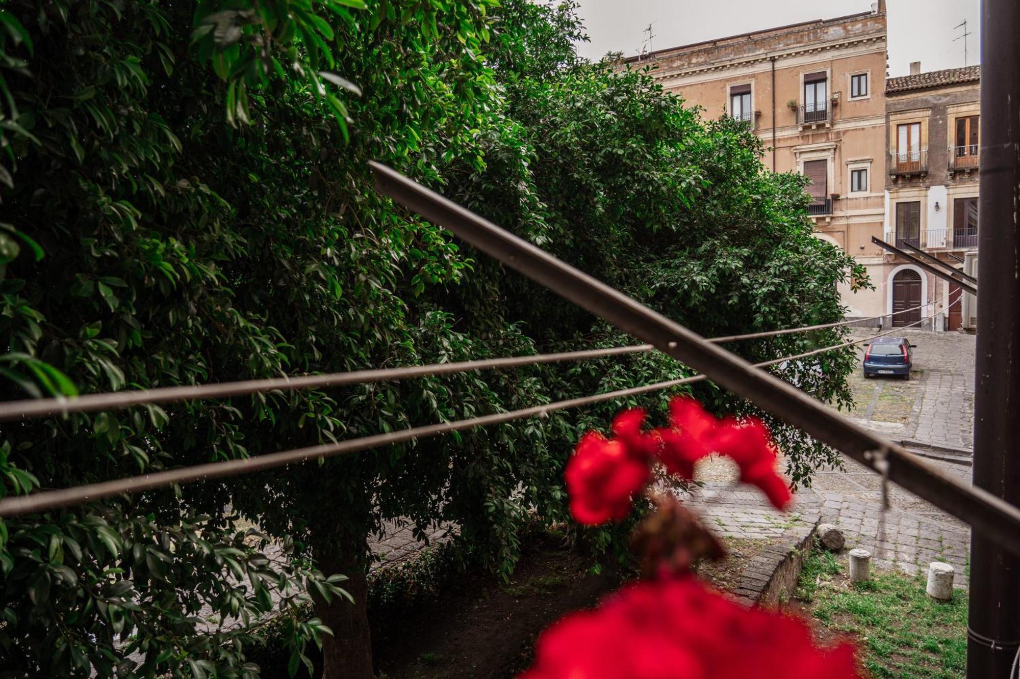 Bed And Books Bed & Breakfast Catania Bagian luar foto