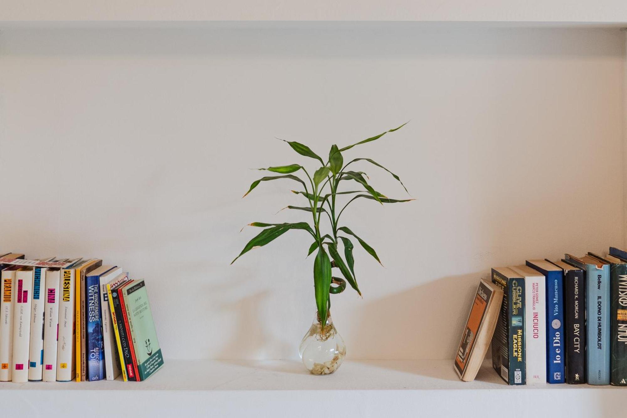 Bed And Books Bed & Breakfast Catania Bagian luar foto